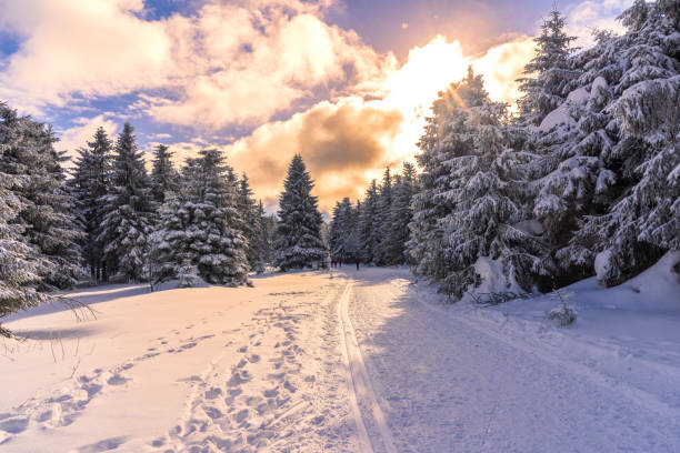 istock Setting sun over the ski slopes of the Thuringian Forest 1300521649