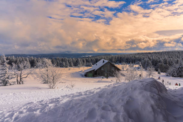 istock Ski area with a view over the wintry thuringian forest 1300521692
