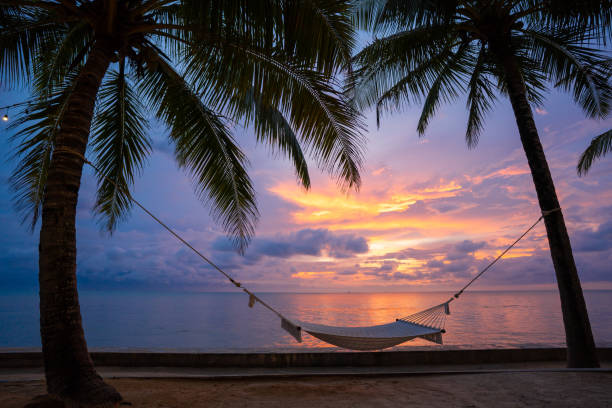 istock hammock chilling corner by the sea 1300522246