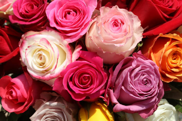 istock Bouquet of wonderful different colored Roses 1300523504