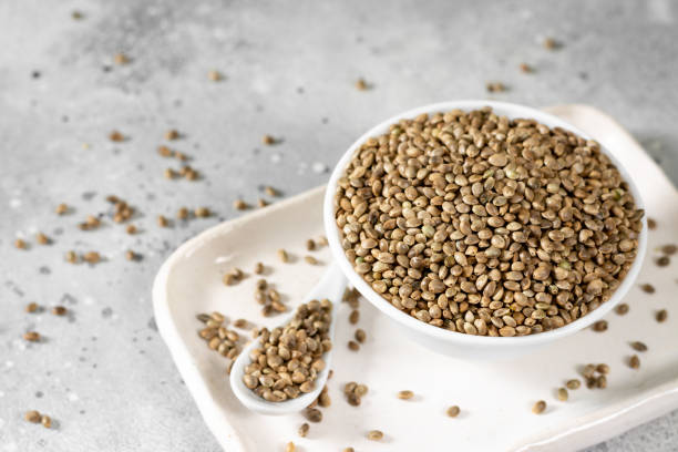 hemp seeds. peeled and whole dried hemp seeds in a white ceramic bowl on a light gray kitchen table. hemp seeds for cooking - hemp seed heap white imagens e fotografias de stock