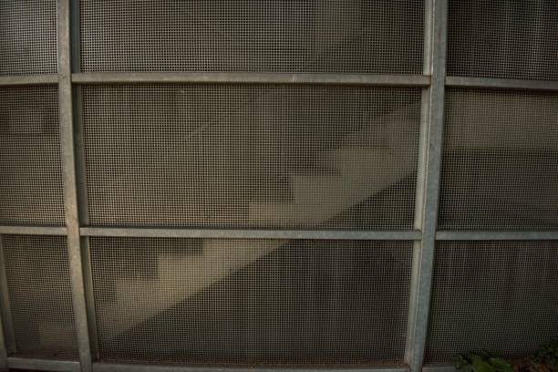 istock stairs and staircase in a building 1300528145