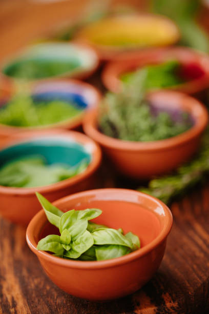 Different green herbs in bowls with basil in the foreground