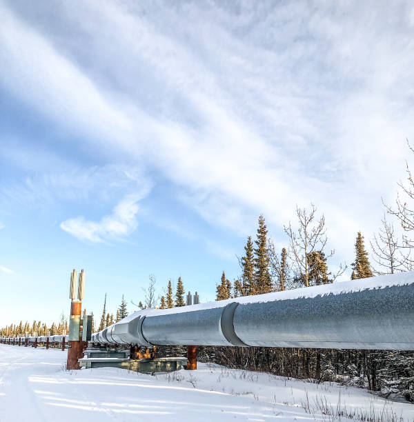 istock Trans-Alaska Pipeline in Winter 1300531853