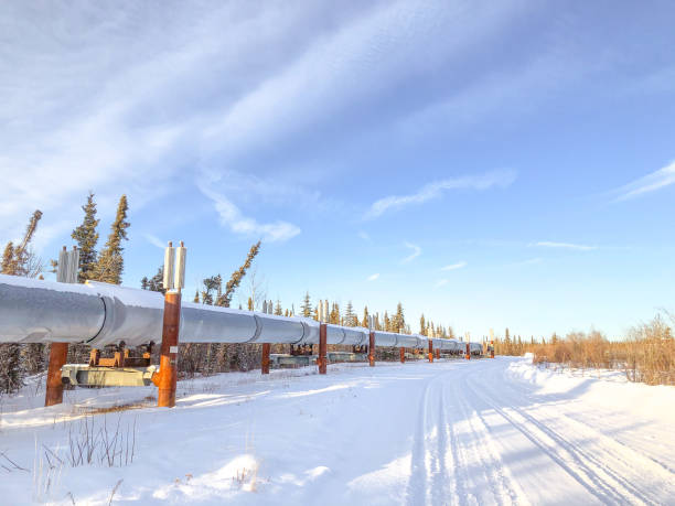 istock Traveling Alongside Trans-Alaska Pipeline in Winter 1300531862
