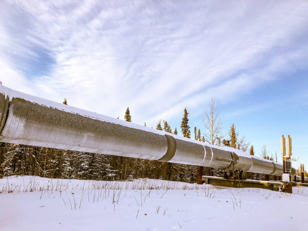 istock Trans-Alaska Pipeline in Winter With Snow 1300531864