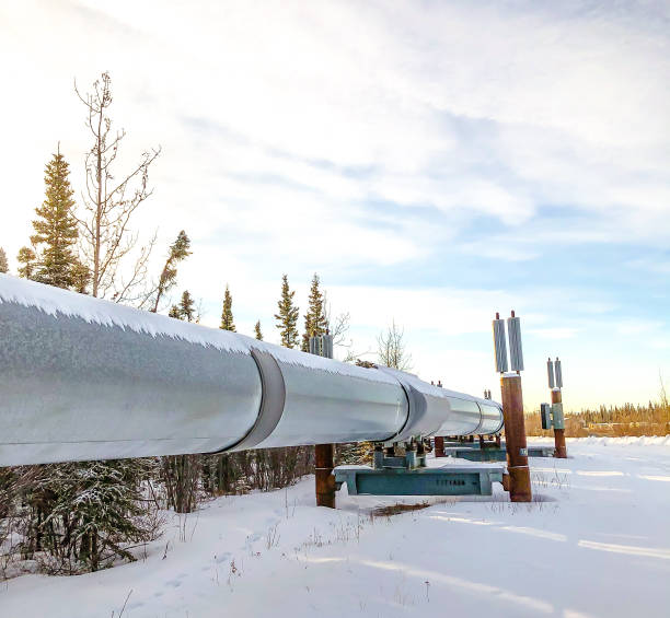 istock Trans-Alaska Pipeline Close up 1300531866