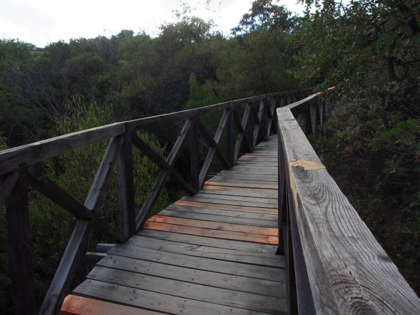 istock Wooden paths, the unity of nature and man. 1300532720