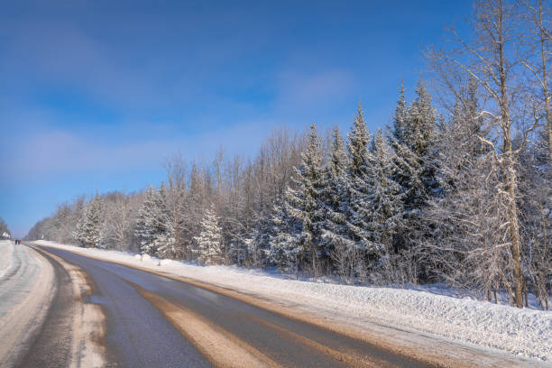 istock On the winter track, there are trees under a blue sky. The branches of a tree are covered with thick white frost. The road bends to the left. Elderly women with Nordic walking sticks are walking along the road on the horizon 1300535132