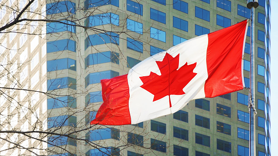 Canadian flag in an urban setting flapping in a strong wind with an office tower background and bare trees to the left.