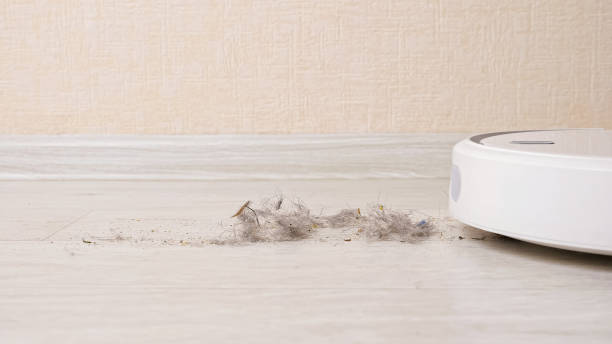 Robotic vacuum cleaner hoovers wooden floor from dirt