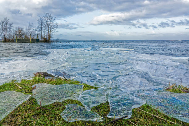 filo interdentale rotto lungo il lago - steinhuder meer foto e immagini stock