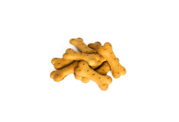 istock bone-shaped biscuits for dogs. isolated picture 1300545938