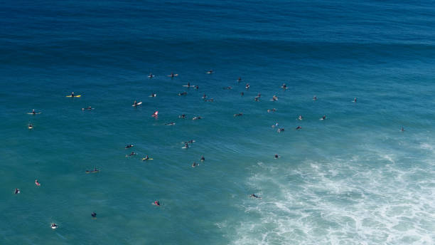 istock Crowd of Surfers Waiting for Waves 1300550779