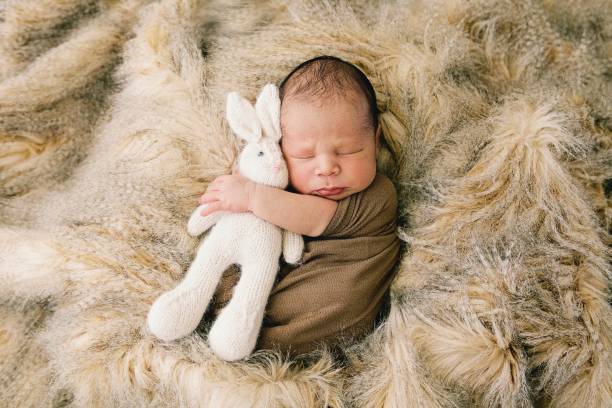 новорожденный младенец swaddled и спать - baby holding babies only sign стоковые фото и изображения