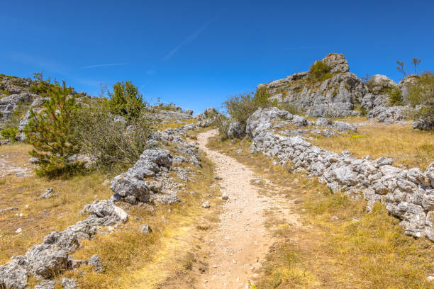 istock Rock formation on limestone karst plateau 1300553308