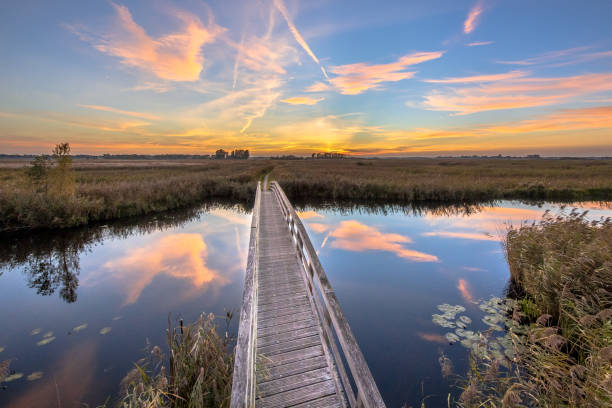 istock Wooden bridge for bicycles 1300553446