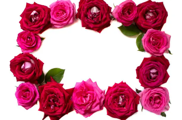 Happy Valentine Day. Valentines day background design. Valentine background. Red rose. Copyspace