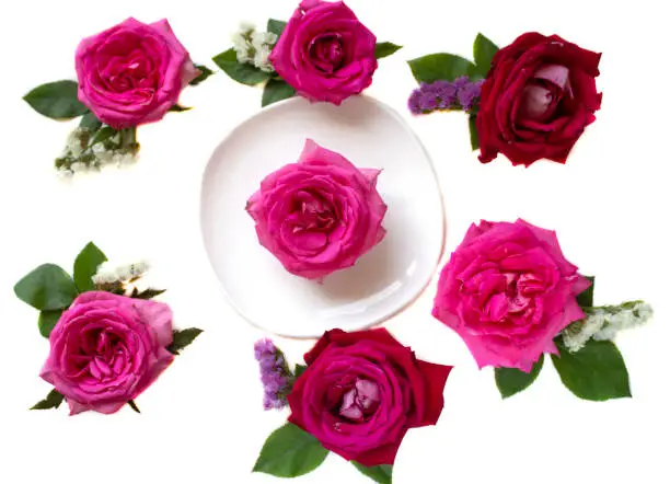 Happy Valentine Day. Valentines day background design. Valentine background. Red rose. Gift and roses. Copyspace