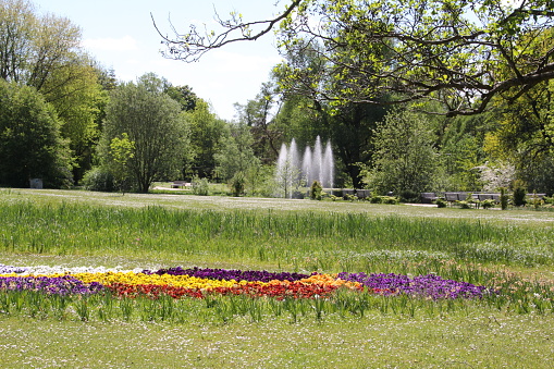 May 13, 2016, Bad Bevensen: Blooming flowers in front of a fountain in the spa park of Bad Bevensen in the Lüneburg Heath