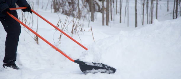 istock A shovel for cleaning snow. 1300561740