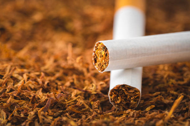 Tobacco and cigarettes stock photo