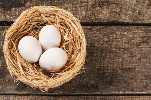 istock eggs in the hay nest on wooden table 1300564049