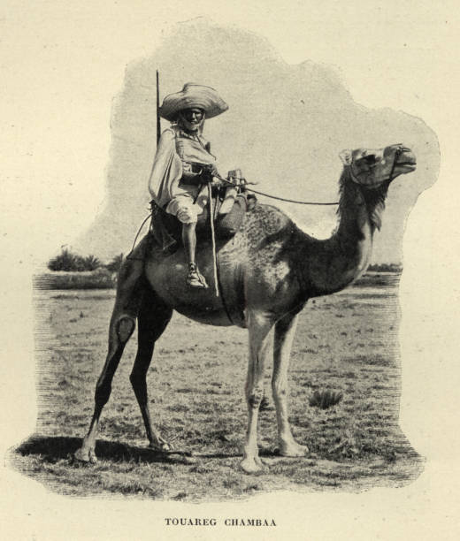 istock Tuareg  man riding a camel, Algeria, 19th Century 1300566478
