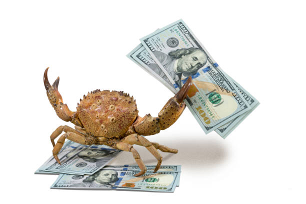 istock Crab and US dollars, on the isolated white background. 1300567218