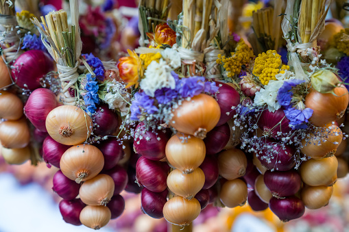 Bulb onion close-up.Festival of onion day in Bern Switzerland