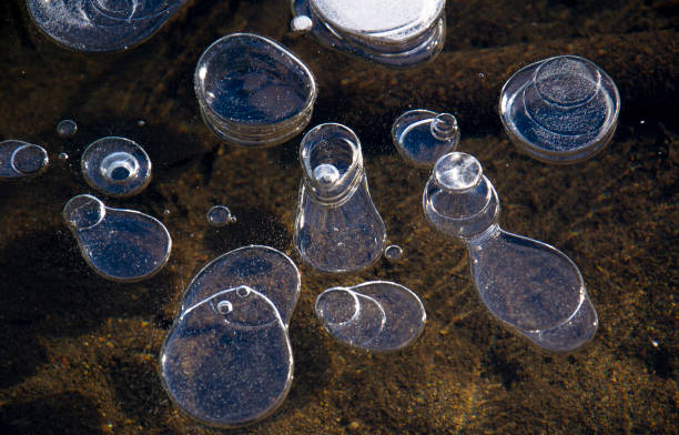 istock Frozen air bubbles in the water. Methane bubbles in the lake. Abstract. Texture. 1300569747