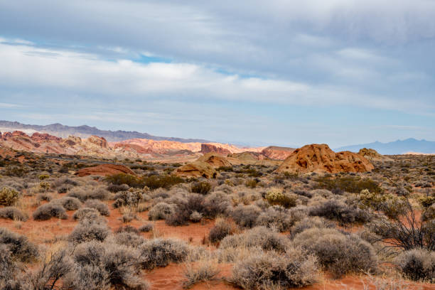 istock Traveling through a Nevada desert landscape. 1300572483
