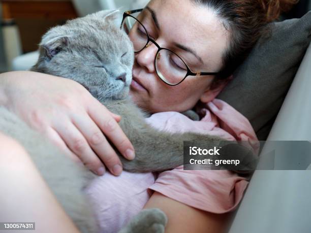 Woman And Cat Nappingslee On A Sofa Stock Photo - Download Image Now - Domestic Cat, One Woman Only, Pets