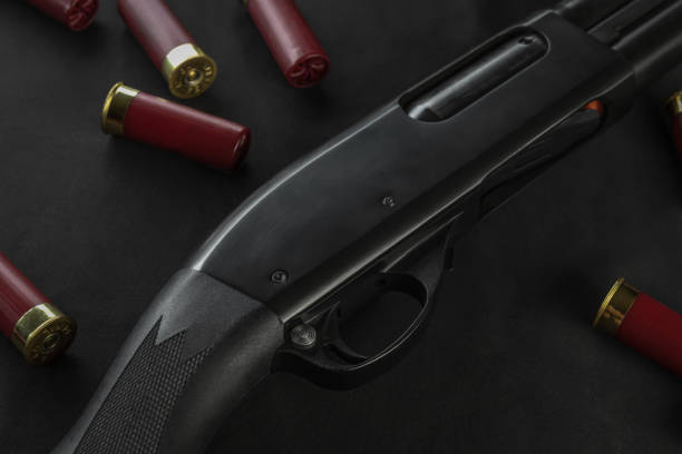 istock 12 gauge shotgun and shot shells. 1300574628