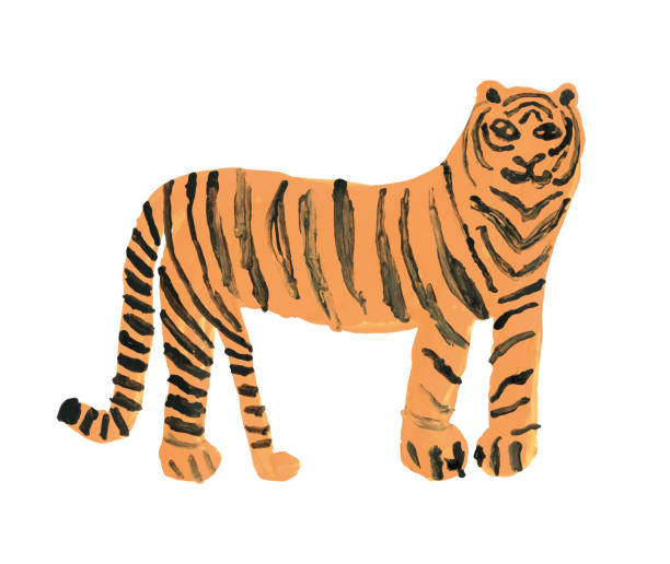 Tiger Painting of a tiger tiger illustrations stock illustrations