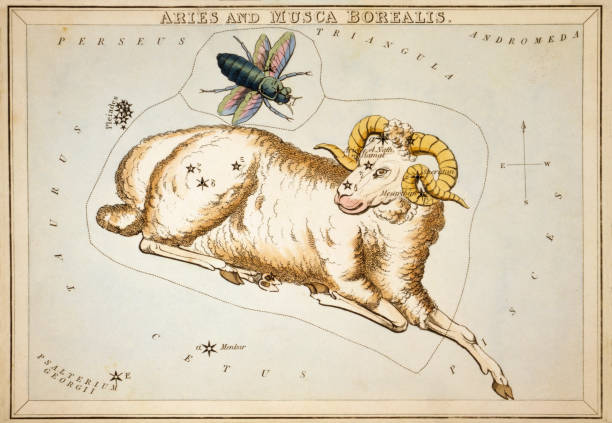 Aries, the First Sign of the Zodiac Vintage illustration features Aries (March 20 - April 21), the first astrological sign in the Zodiac. Aries, a fire sign, is represented by the symbol of a ram, reflecting their tendency to seek challenges head on. aries stock illustrations