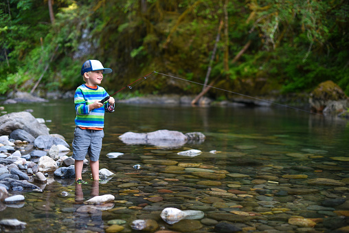 A young boy wading in shallow water fishing in stream. South Santiam River, Willamette National Forest, Oregon.