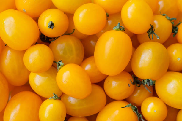 istock Yellow ripe organic tomato background 1300582852