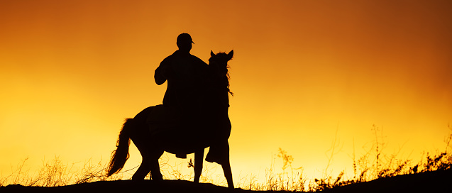 Black silhouette of rider on horseback and beautiful orange sunset over field. Panoramic view.