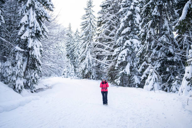istock Woman with a backpack working in snow road in the forrest 1300583007
