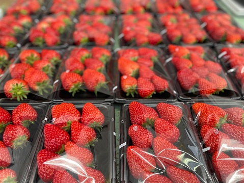 Lots of Strawberries organically grown and in plastic trays ready for sale.