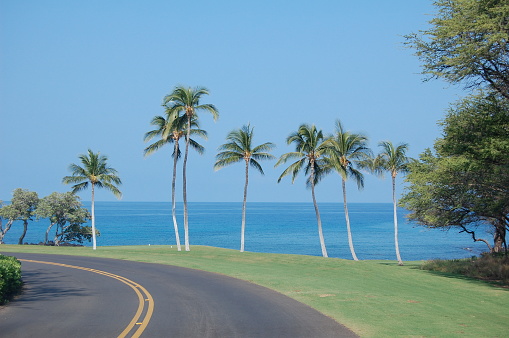Big Island Hawaii road, palm trees, green grass and open sea