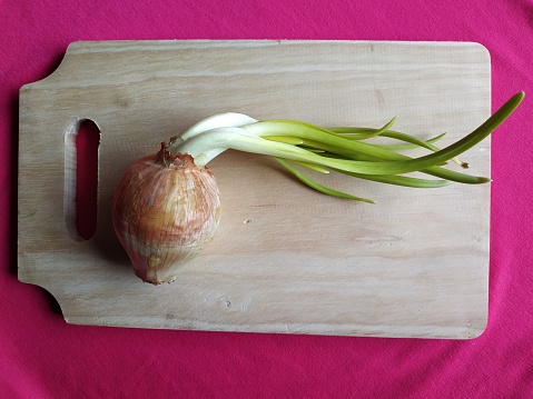 Garlic, onion and Spanish onion on a wooden plate, seasoning vegetables on a wooden kitchen table top, a top view with a copy space area