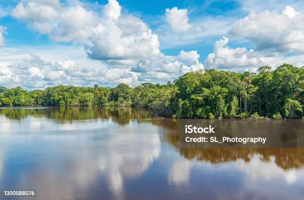 Amazon Rainforest Lake Reflection Ecuador Stock Photo - Download Image Now - Amazon Region, Amazon Rainforest, Sky