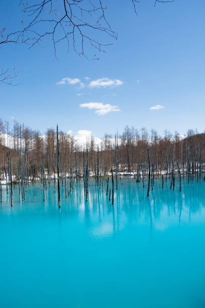 istock Spring blue pond with snow in Biei 1300588926