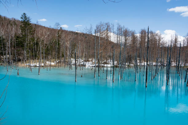 istock Spring blue pond with snow in Biei 1300589631