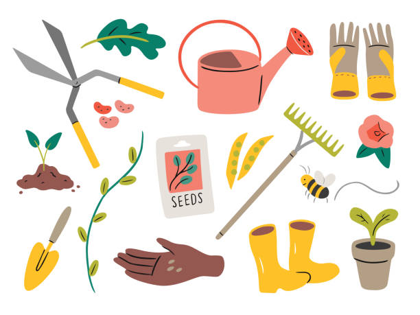 ilustraciones, imágenes clip art, dibujos animados e iconos de stock de ilustración de elementos de jardinería — elementos vectoriales dibujados a mano - grupo de objetos ilustraciones