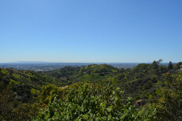 istock Hollywood, California 1300600316