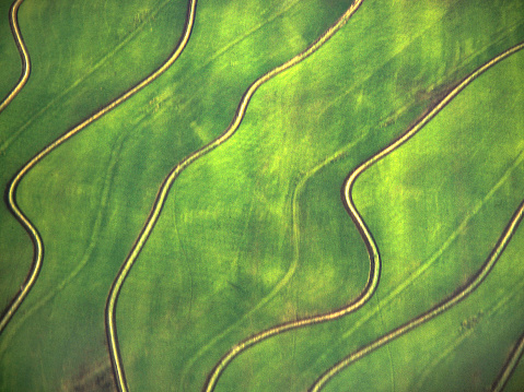 Aerial view of rice fields in northern California, USA. Scanned film from July 1971, soft focus.