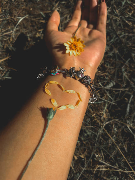 istock Flower and love 1300606117